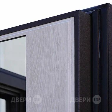 Входная металлическая Дверь Шелтер (SHELTER) Филадельфия Зеркало в Одинцово