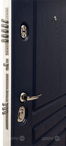 Входная металлическая Дверь Сударь МД-45 в Одинцово