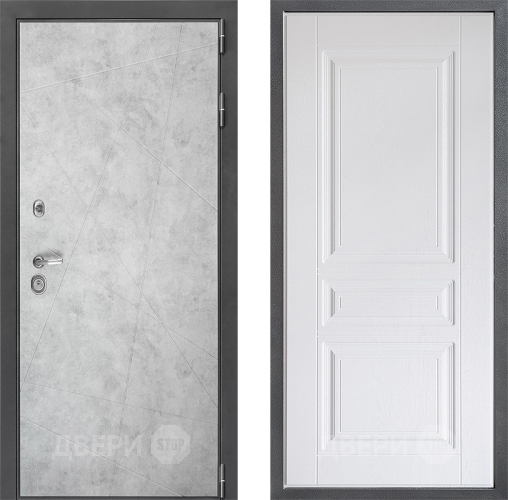 Входная металлическая Дверь Дверной континент ДК-3/743 ФЛ-243 Альберо Браш серебро в Одинцово